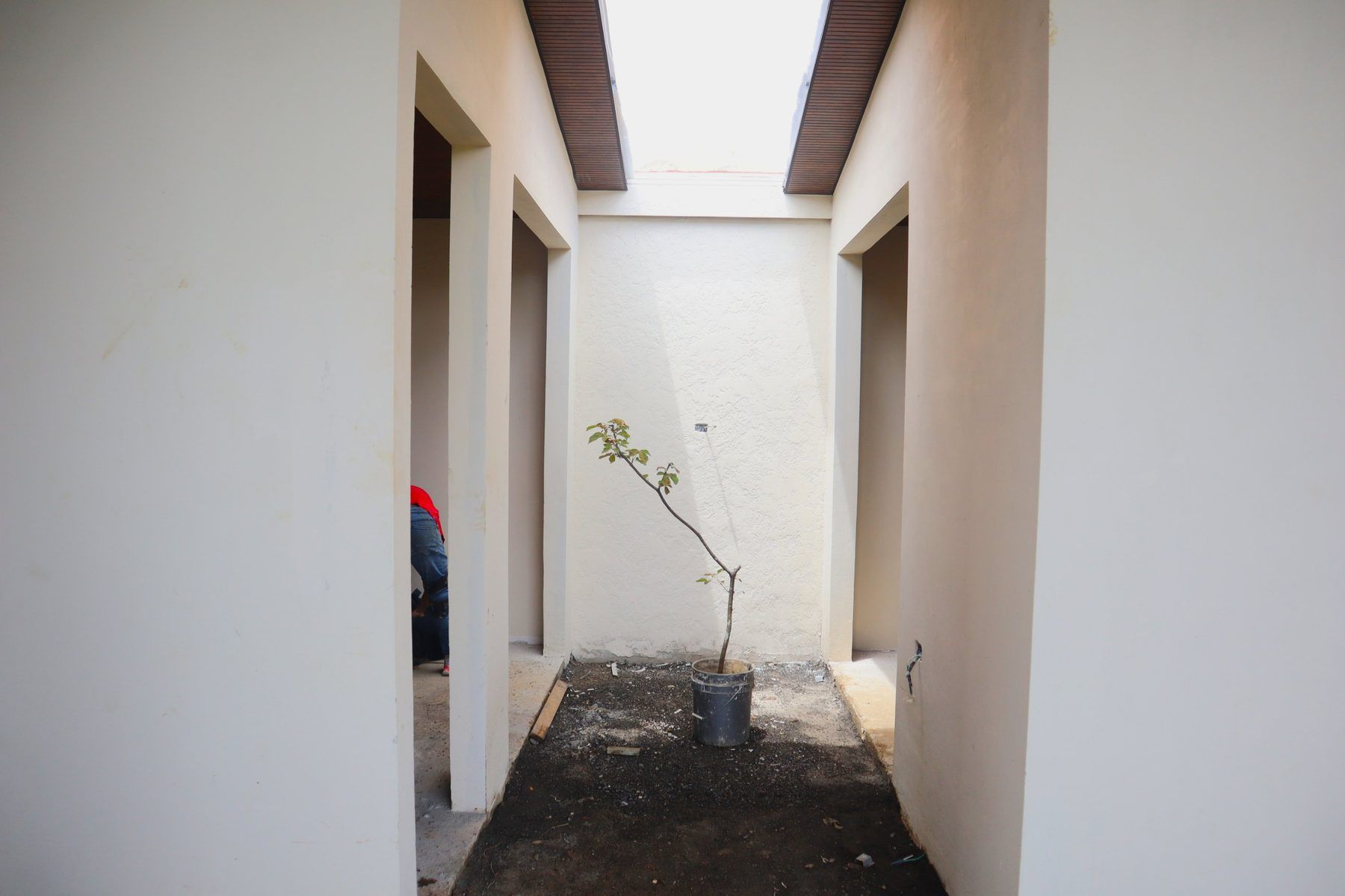 Jardín interno de Residencia Aura con tragaluz y un árbol pequeño